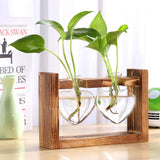 Hydroponics Plant Vase - Crystal Decor Shop