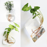 Fashion Wall Hanging Glass Flower Vase - Crystal Decor Shop