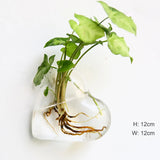 Fashion Wall Hanging Glass Flower Vase - Crystal Decor Shop