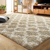 Anti-Skid Plush Carpet