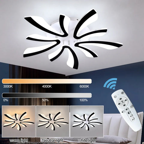 Modern Interior Ceiling Lamp