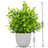 Artificial Bonsai Green Fake Plant - Crystal Decor Shop