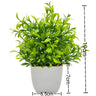 Artificial Bonsai Green Fake Plant - Crystal Decor Shop